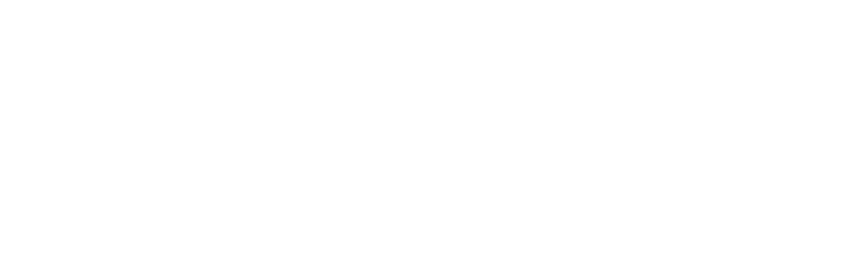 SILOG ZF